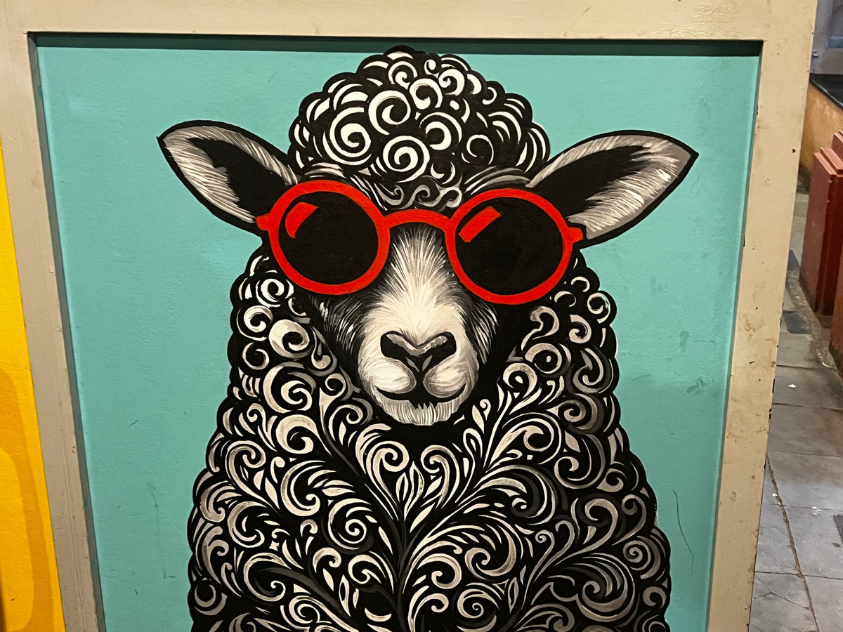 sheep in red glasses